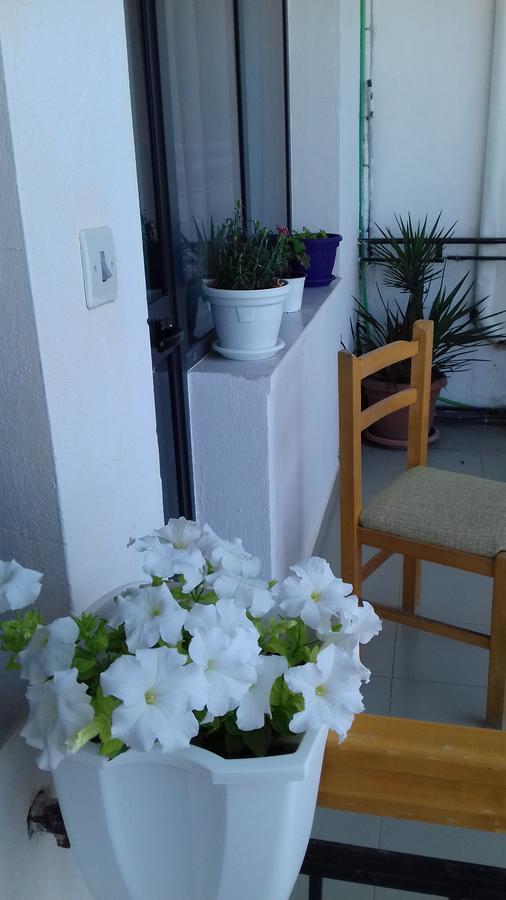 Kruja Hostel Esterno foto
