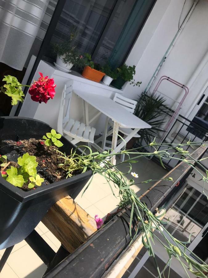 Kruja Hostel Esterno foto